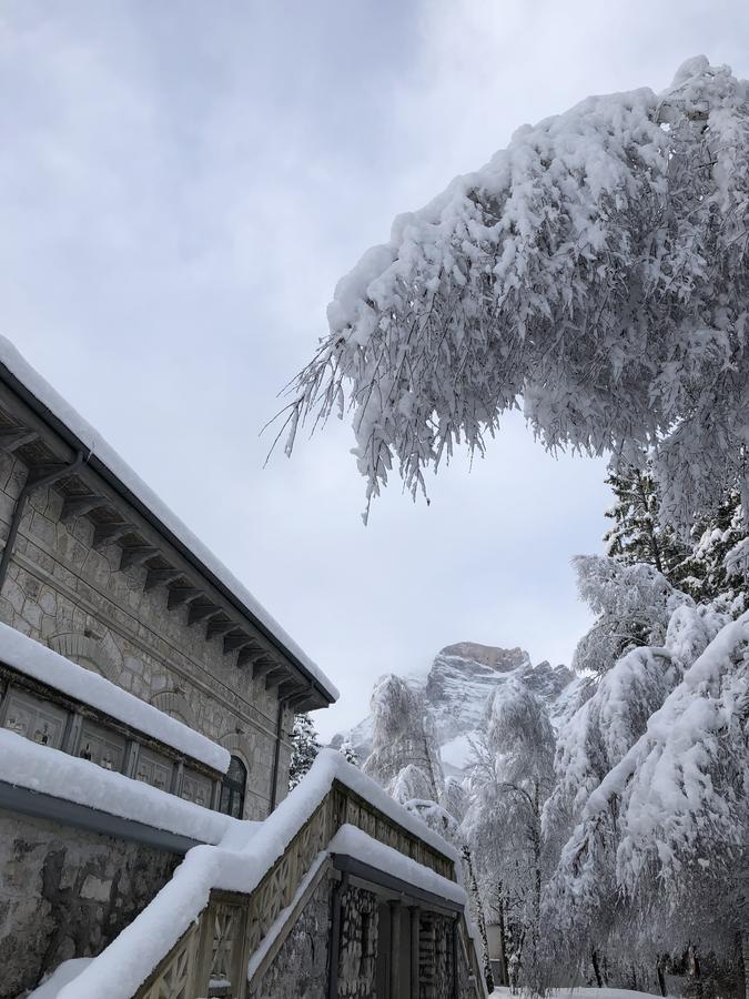 Th - Park Des Dolomites Hotel Borca di Cadore
