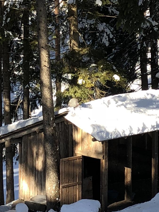 Th - Park Des Dolomites Hotel Borca di Cadore